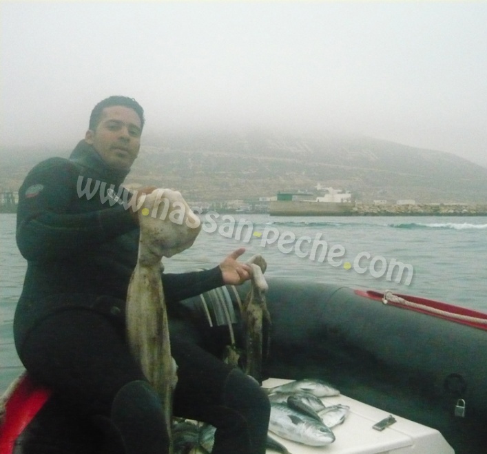 La Chasse Sous Marine A Agadir