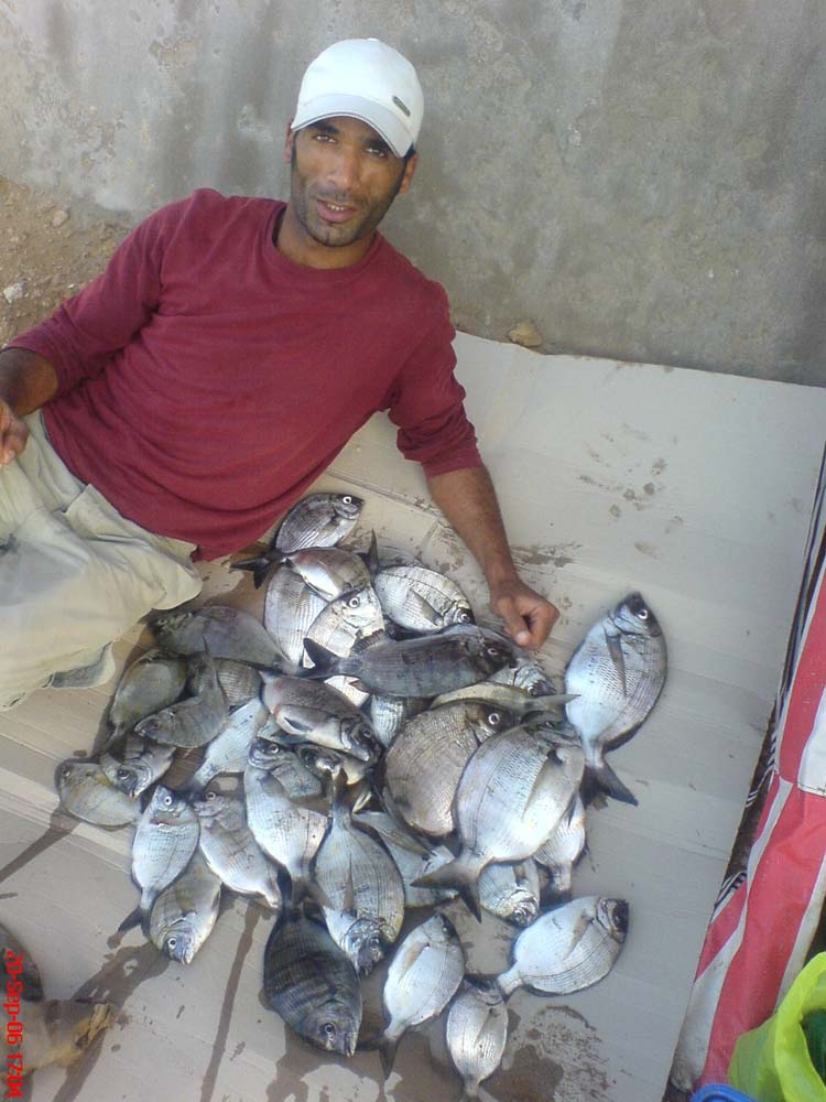 00000100adsa.jpg
