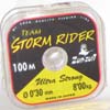 filstorm rider 0.jpg