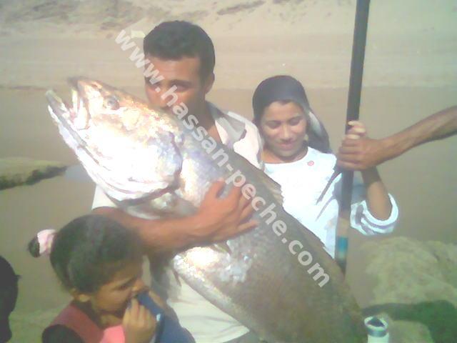 011aaaaabphoto326036.jpg