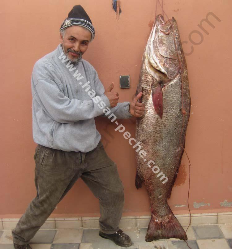 011aaaaacoo52451 copie.jpg