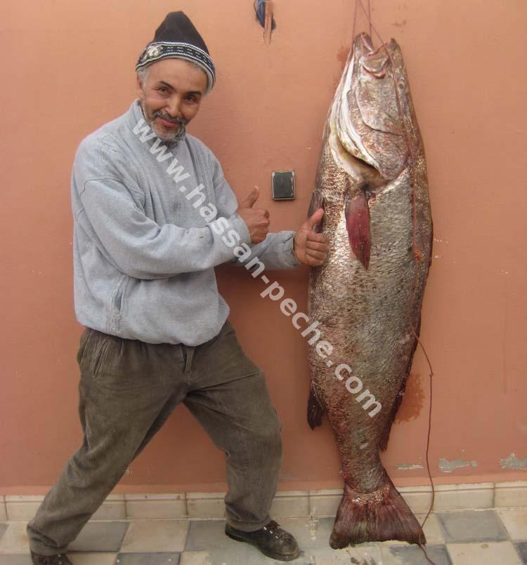 011aaaaacoo52451.jpg