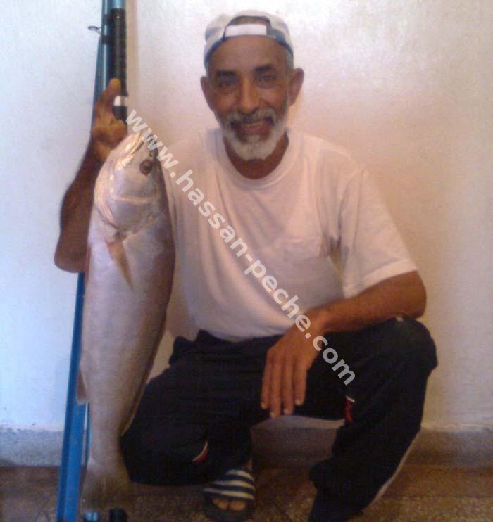 011aaaaduyytrbb.jpg