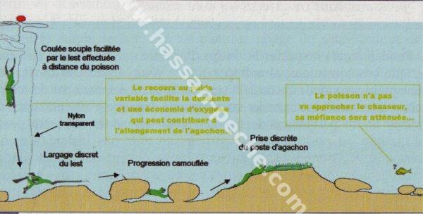 146.jpg 146.jpg