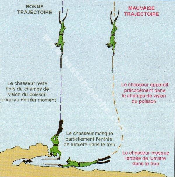 154.jpg