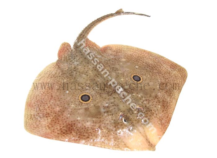 154 copie.jpg