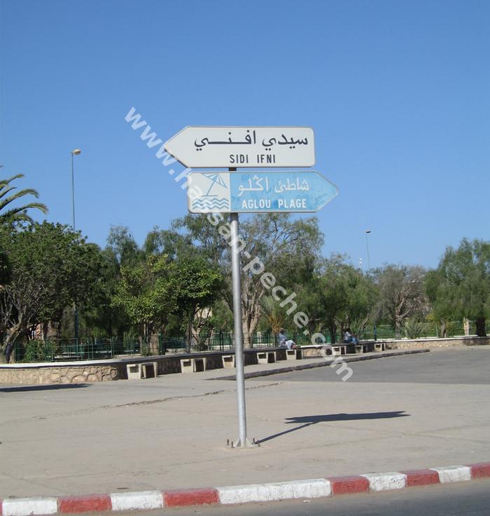 291.jpg