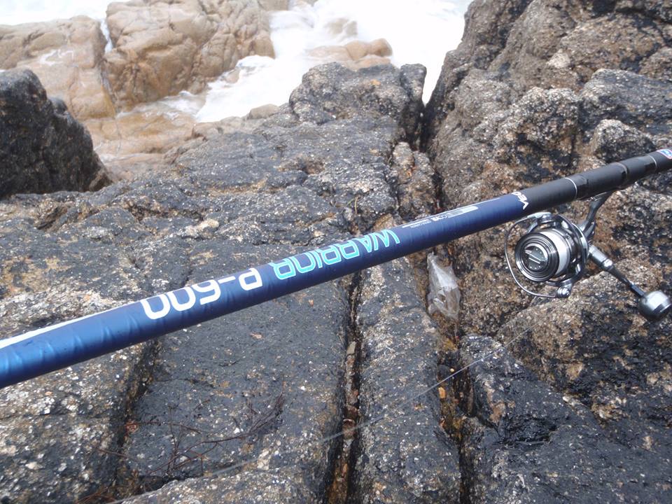 canne telescopique peche au coup VEGA WARRIOR 7 mt