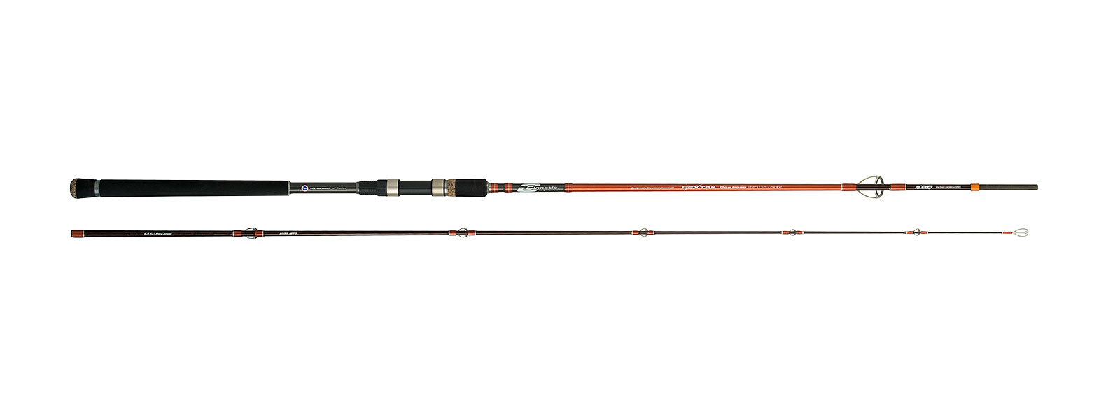 Canne lancer spinning Cinnetic rextail sea bass Canne lancer spinning Cinnetic rextail sea bass