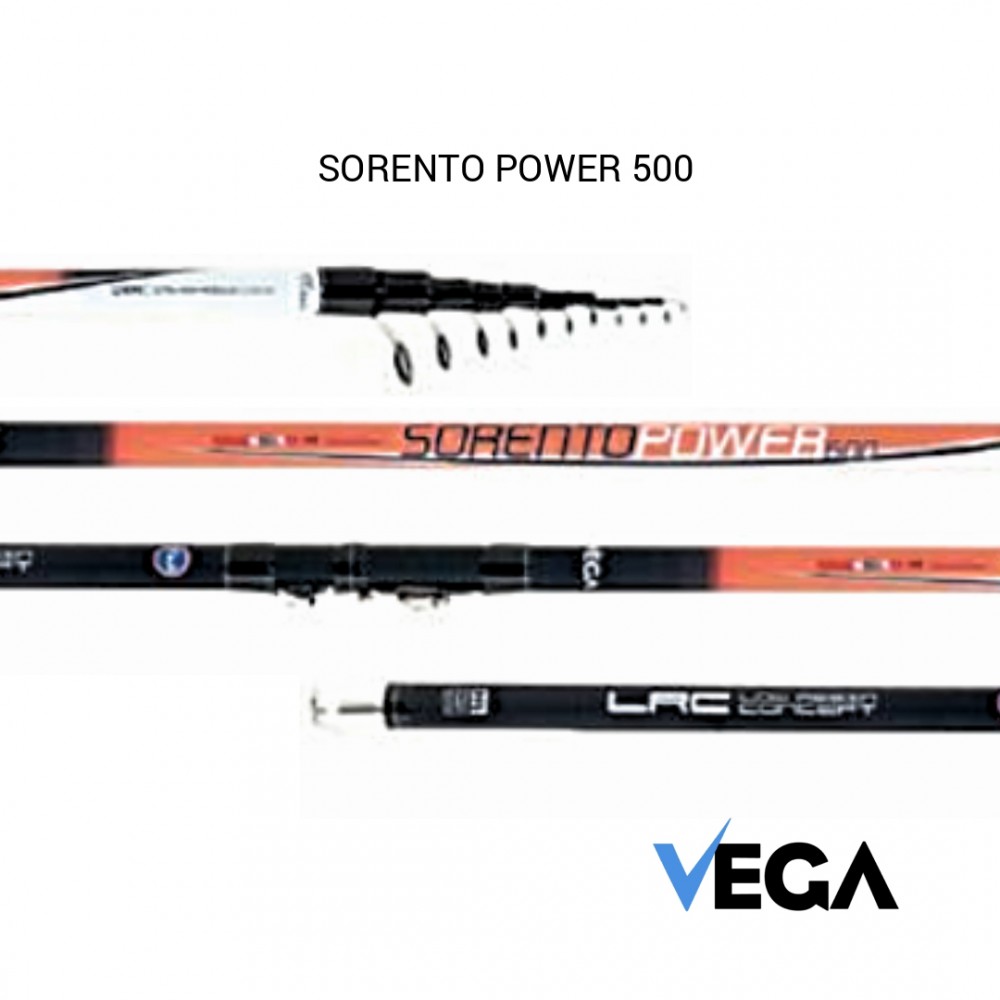 canne telescopique peche au coup VEGA SORENTO POWER 700