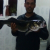 IMG-20161112-WA0044