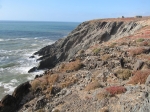 IMG_0189