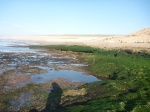 P1050766