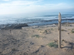 P1050777