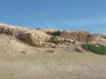 P1050798