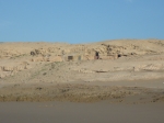 P1050816