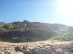 P1050923