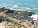 P1050938
