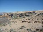 P1050952