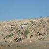 BELGARN MASSA