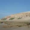 BELGARN MASSA