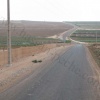 AFTAS  DOUIRA 49  km au sud d'Agadir)