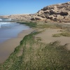 TAMOUCHIA 49  km au sud d'Agadir)