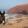  Plage Legzira à 10 km au nord sidi ifn 
