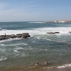 Plage de Tifnit. .. se trouve a 40 kms environ d'Agadir