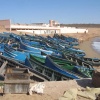 نقطة مجهزة لتفريغ السمك بقرية تيفنيت