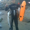 Associacion Campeones Fnideq de Pesca Submarin
