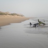 La plage de IGGIN SDIST    sud de l'embouchure de l'oued Souss