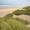La plage de AGD AGOUN  5 kilomètres au sud de l'embouchure de l'oued Souss.