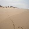 La plage de AGD AGOUN  5 kilomètres au sud de l'embouchure de l'oued Souss.