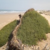 La plage de IGGIN SDIST  sud de l'embouchure de l'oued Souss.
