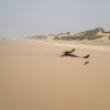 La plage de IGGIN SDIST  sud de l'embouchure de l'oued Souss. 