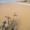 La plage de IGGIN SDIST  sud de l'embouchure de l'oued Souss. 