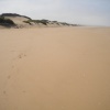 La plage de IGGIN SDIST AGD AGOUN  sud de l'embouchure de l'oued Souss. 