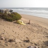 La plage de IGGIN SDIST   sud de l'embouchure de l'oued Souss.