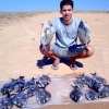 une belle Chasse à trou au sud d'Agadir