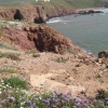 La plage sauvage( la plage de Tamahroucht)