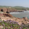 La plage sauvage( la plage de Tamahroucht)