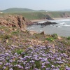 La plage sauvage( la plage de Tamahroucht)