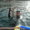 La Chasse Sous Marine A Agadir