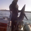 La Chasse Sous Marine A Agadir