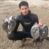 Mehdi Tirich