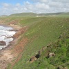 Plage sauvage Tamhroucht