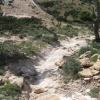 Ikounnioune