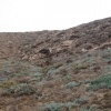Sidi Bounouar ( Dou Ihchach Talat Ouwagmar)