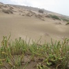 Sidi Bounouar ( Dou Ihchach Talat Ouwagmar)